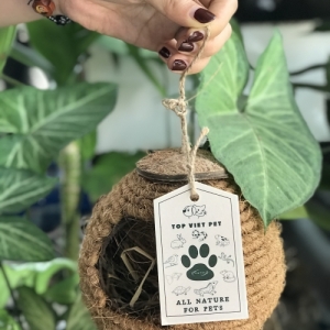 Coconut Shell Bird Nest