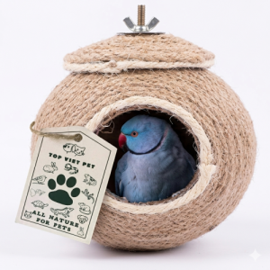 Coconut Shell Bird Nest With Screw Hook