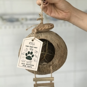 Coconut Shell Bird's Nest With Ladder