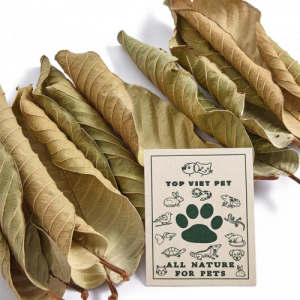 Dried Guava Leaves