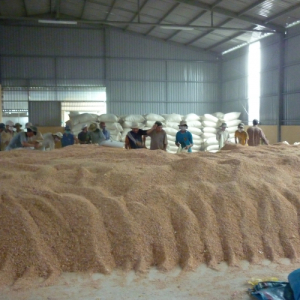 Dried Shrimp Shell Powder