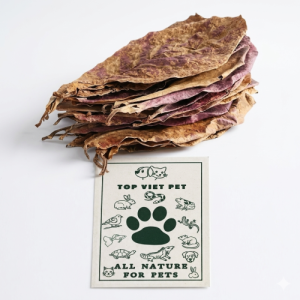 Dried Terminalia Catappa Leaves