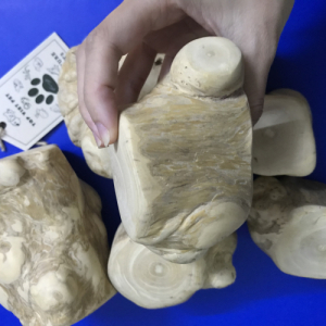 Gorilla Wood Root Chew