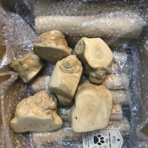 Gorilla Wood Root Chew