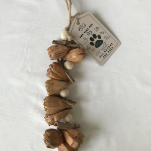 Nuts Chewing Bird Toy