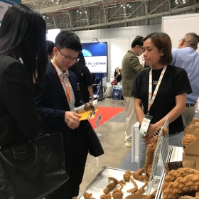 Petfair Vietnam 2026: Our Perspective on the Future of the Pet Industry