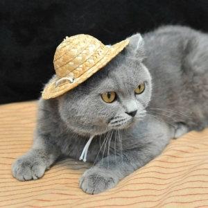 Seagrass Straw Hat 
