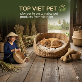 Top Viet Pet – Pioneer in Sustainable Pet Products from Vietnam
