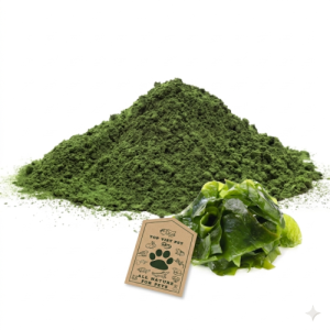 Ulva Lactuca 
